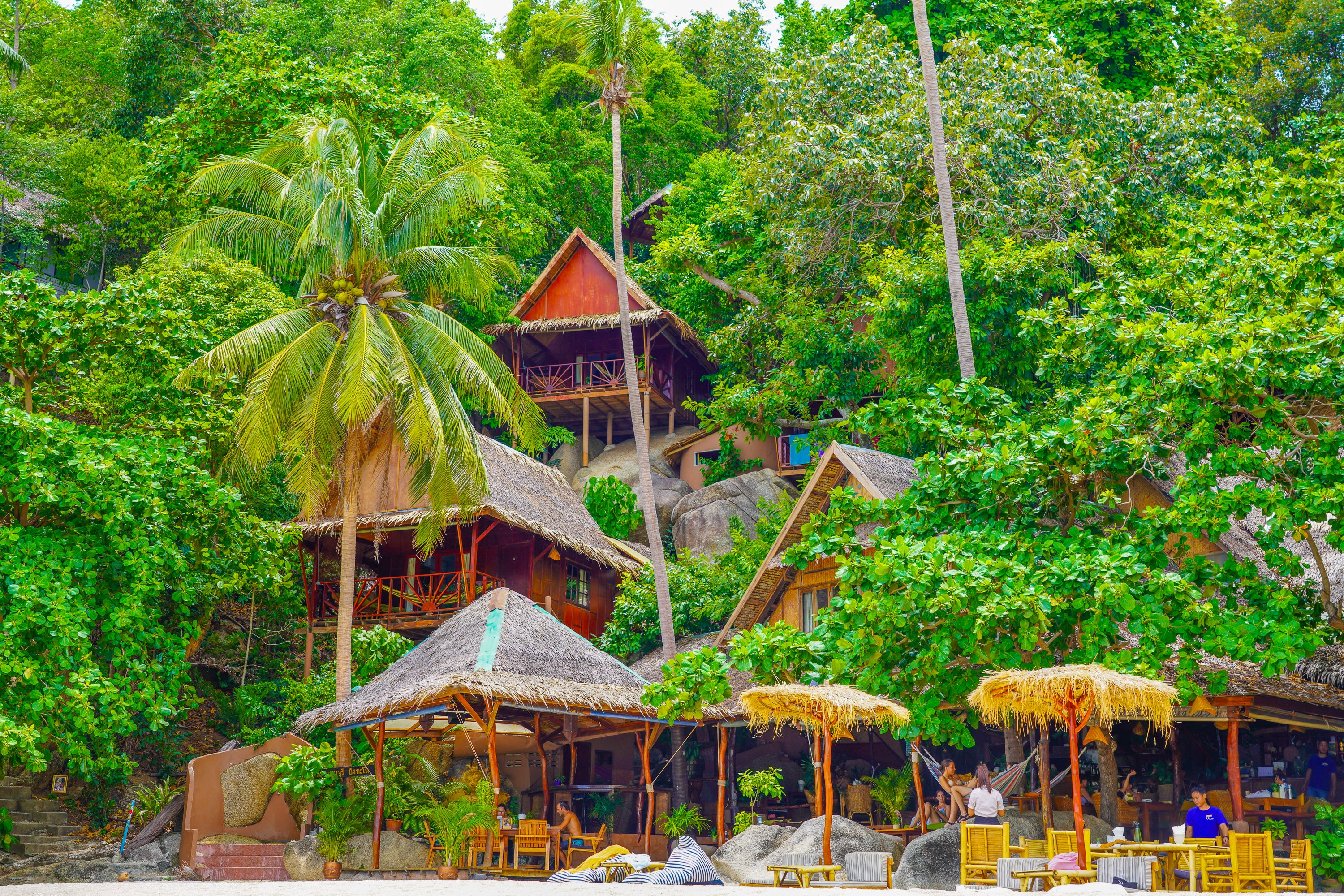 Thailand - Tropical Rainforest Editorial Experience