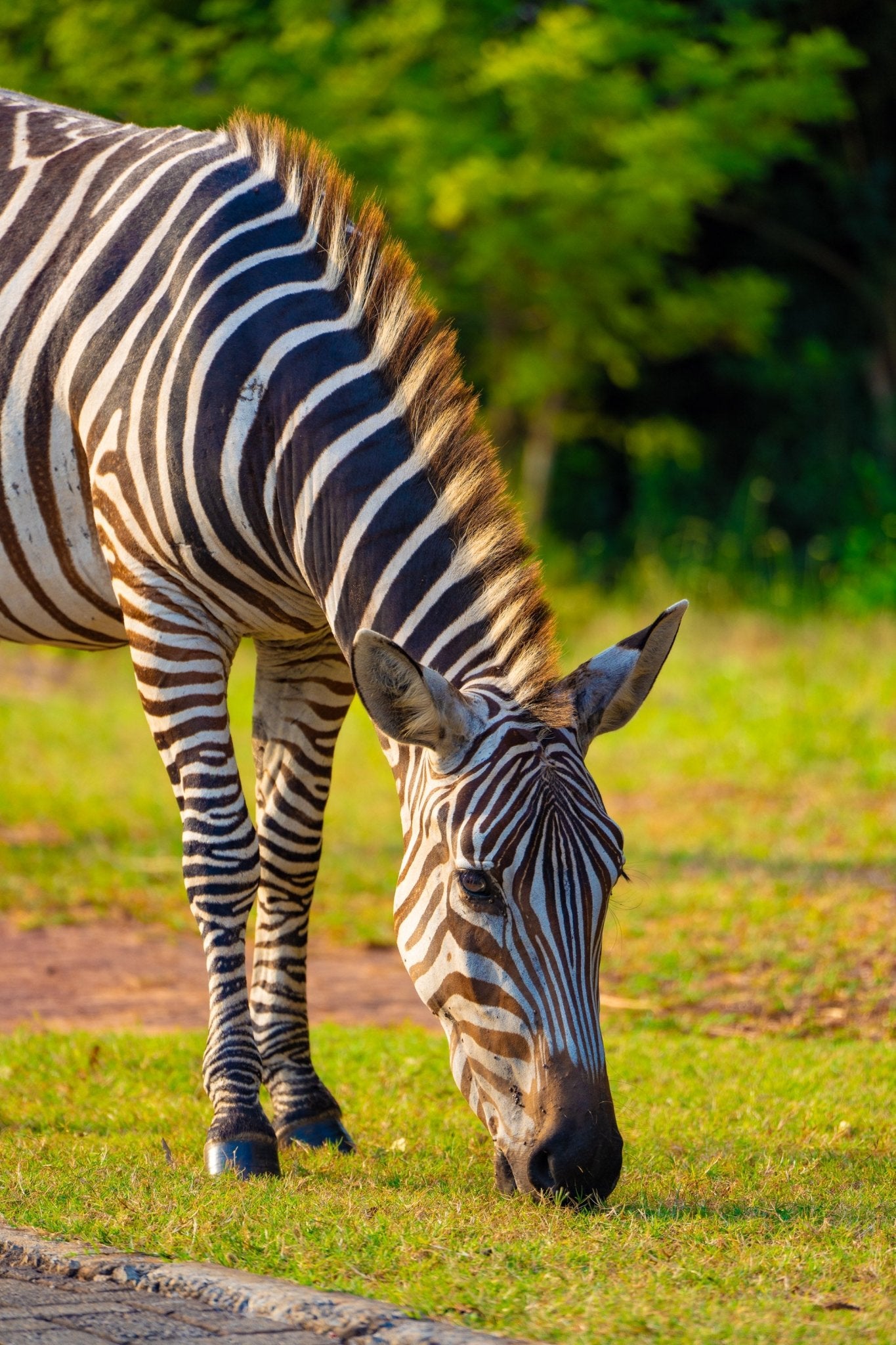 Kenya - Safari Editorial Experience - Zawadi Hat Fashion