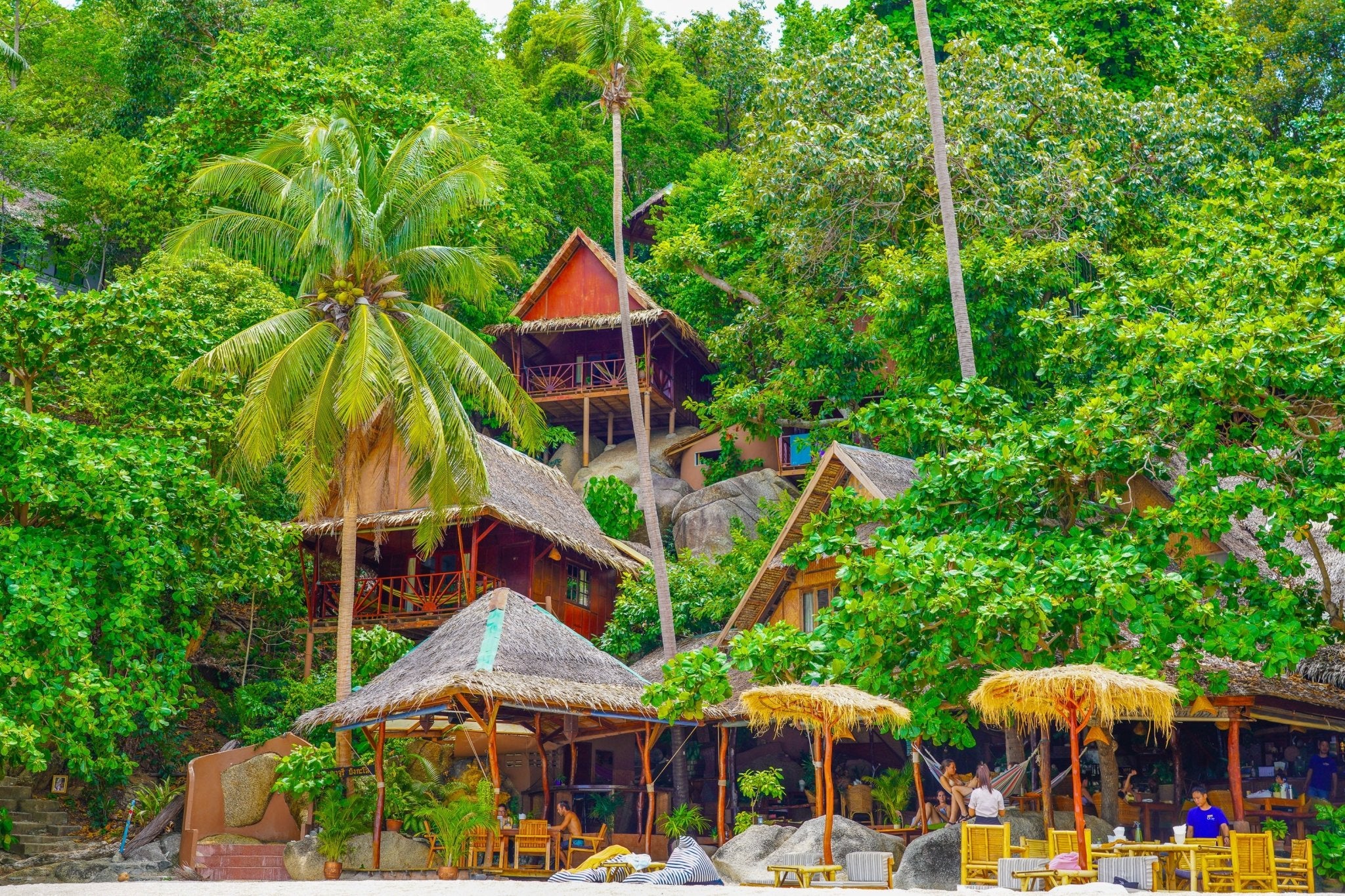 Thailand - Tropical Rainforest Editorial Experience - Zawadi Hat Fashion