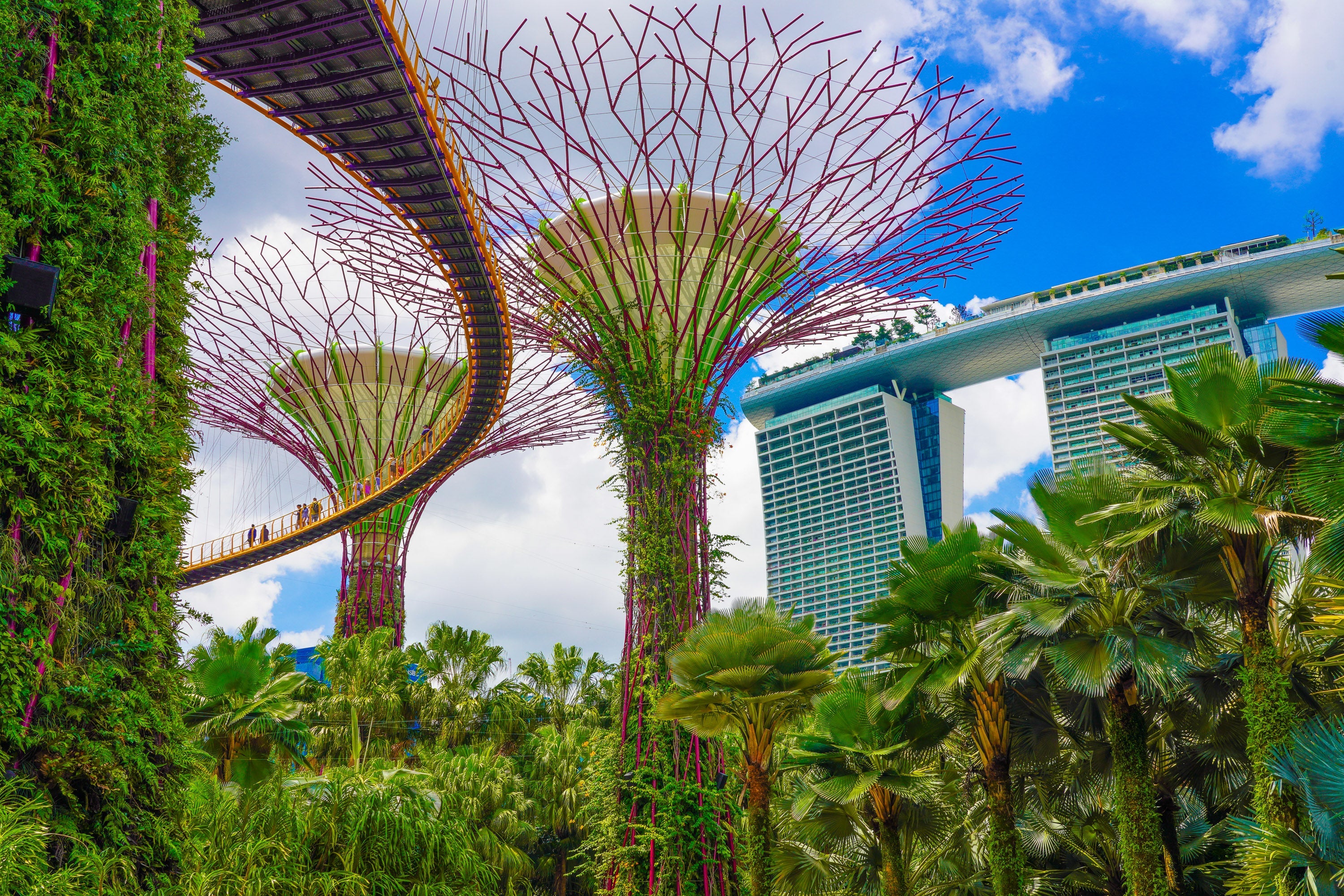 ZHF Global Lifestyle & Editorial Photography - Zawadi Hat Fashion