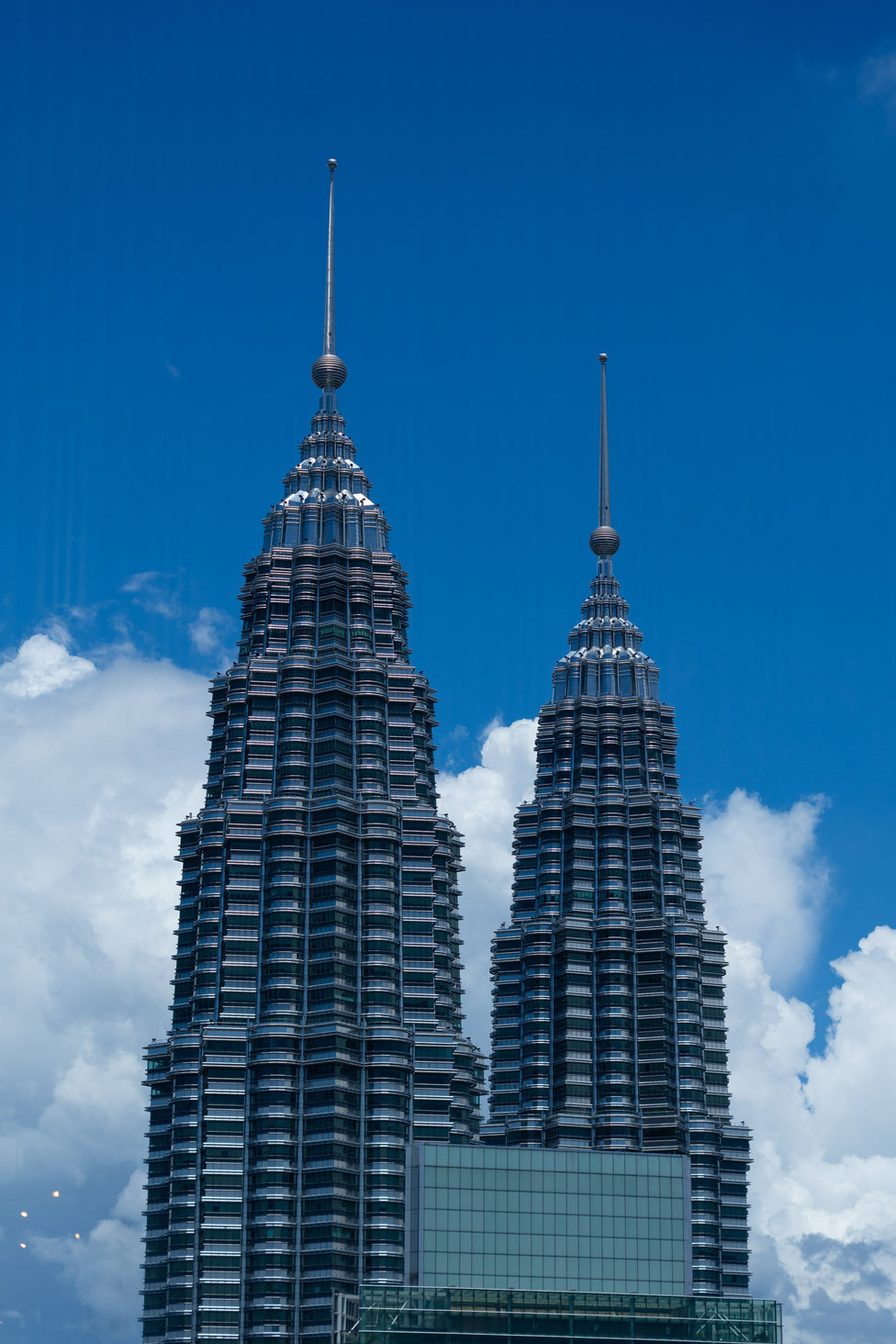 ZHF Global Lifestyle & Editorial Photography - Zawadi Hat Fashion