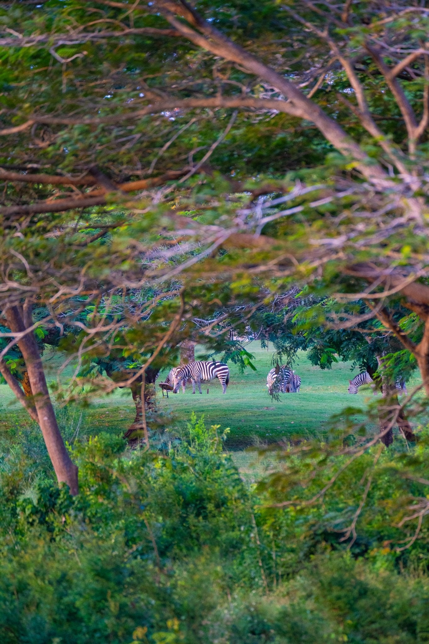 Kenya - Safari Editorial Experience - Zawadi Hat Fashion