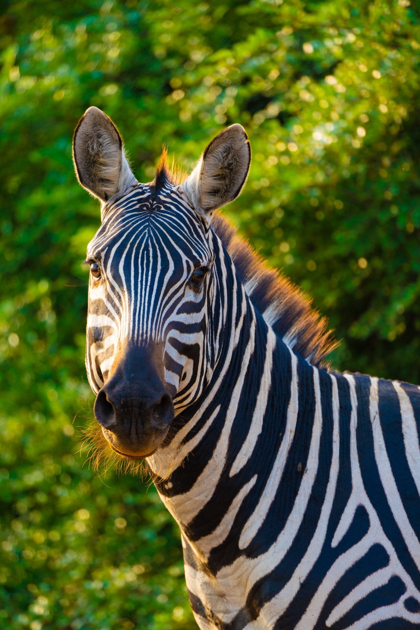 Kenya - Safari Editorial Experience - Zawadi Hat Fashion