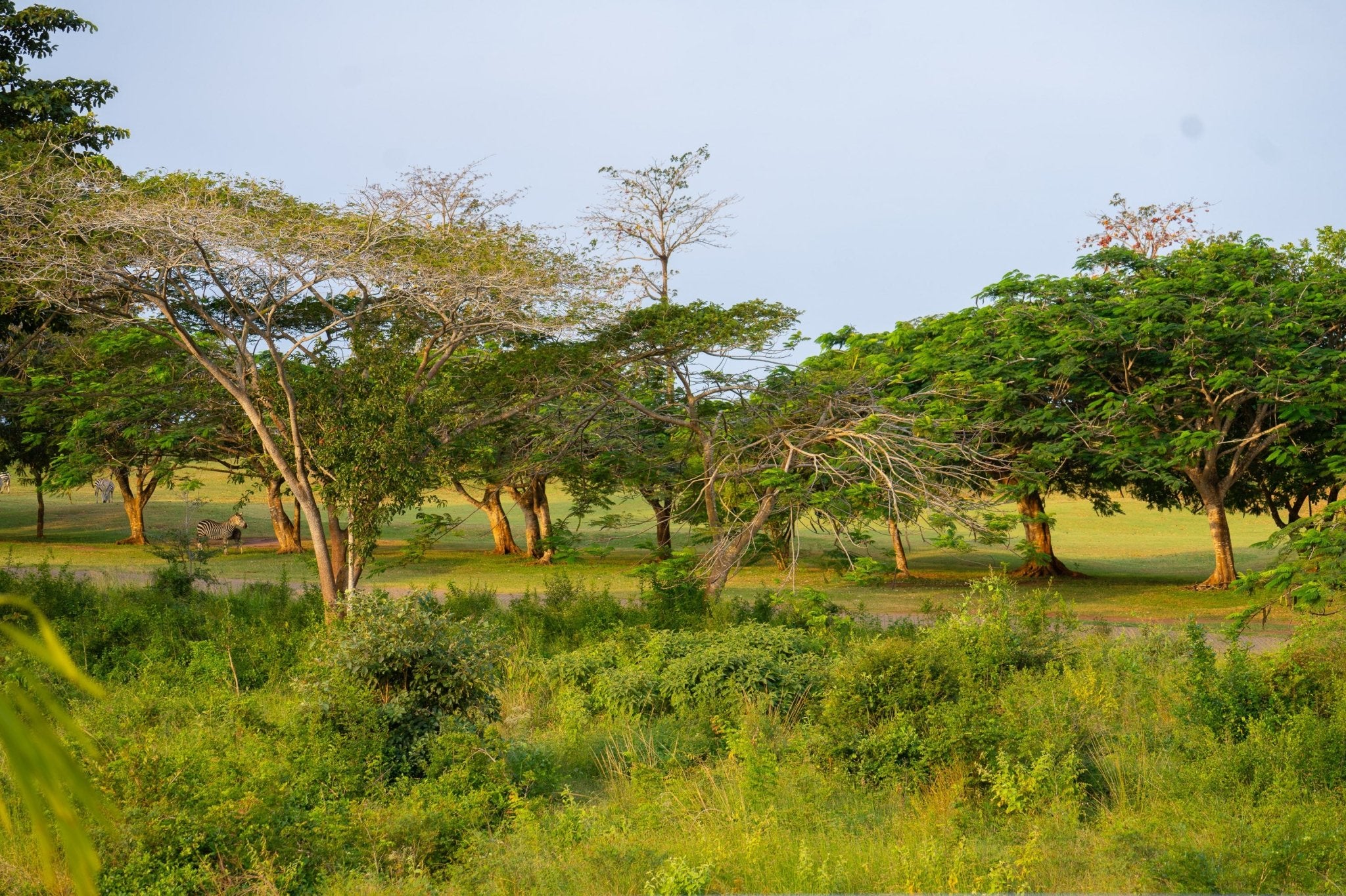 Kenya - Safari Editorial Experience - Zawadi Hat Fashion