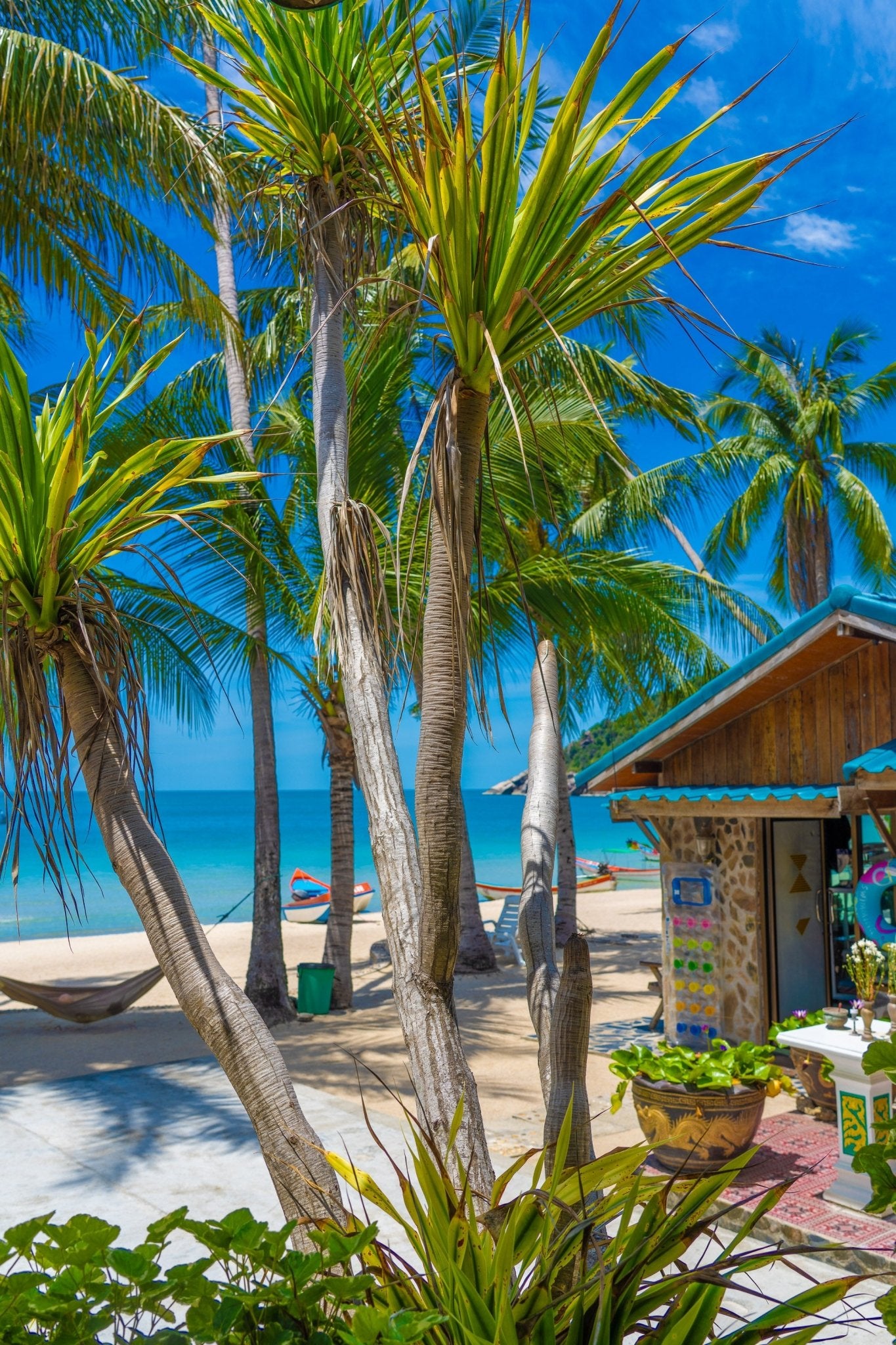 Thailand - Tropical Rainforest Editorial Experience - Zawadi Hat Fashion