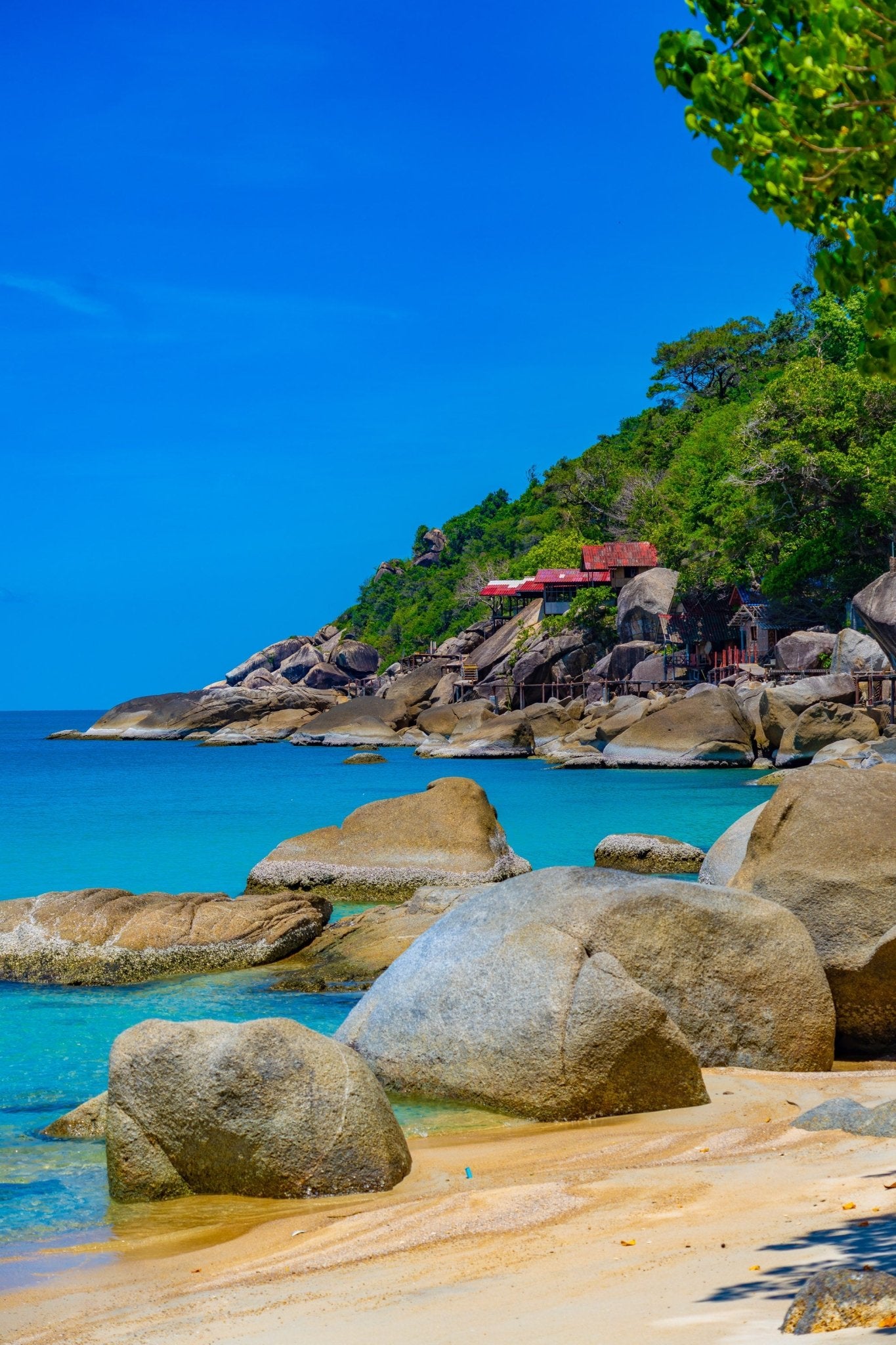 Thailand - Tropical Rainforest Editorial Experience - Zawadi Hat Fashion